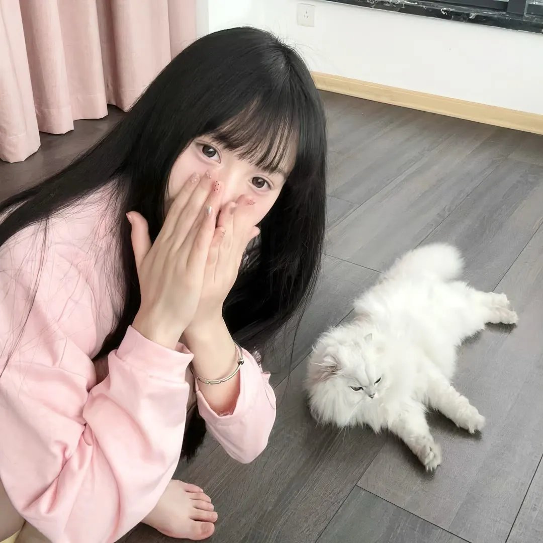 命运之夜前传 第一季 总集篇